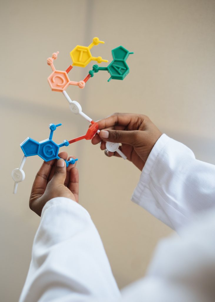 Unrecognizable ethnic scientist wearing lab coat and examining plastic molecule model while standing in laboratory after necessary research